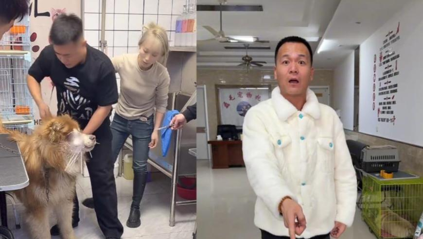 2025澳门资料大全免费99918cC,印度女孩13岁起被60余人性侵5年,展开计划实施_轻量版V5.37